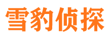 文昌捉小三公司